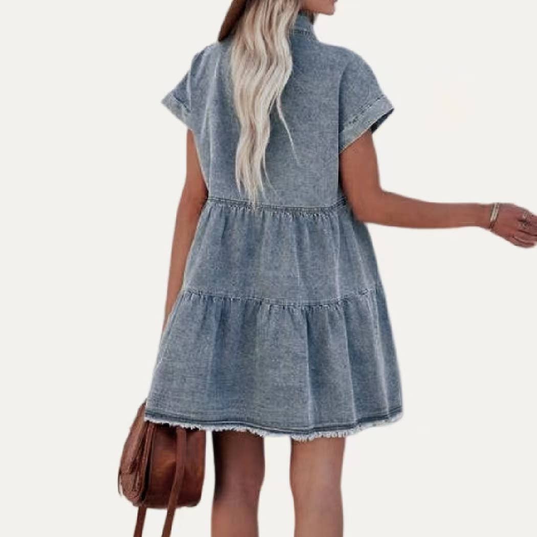 Demy Denim Dress