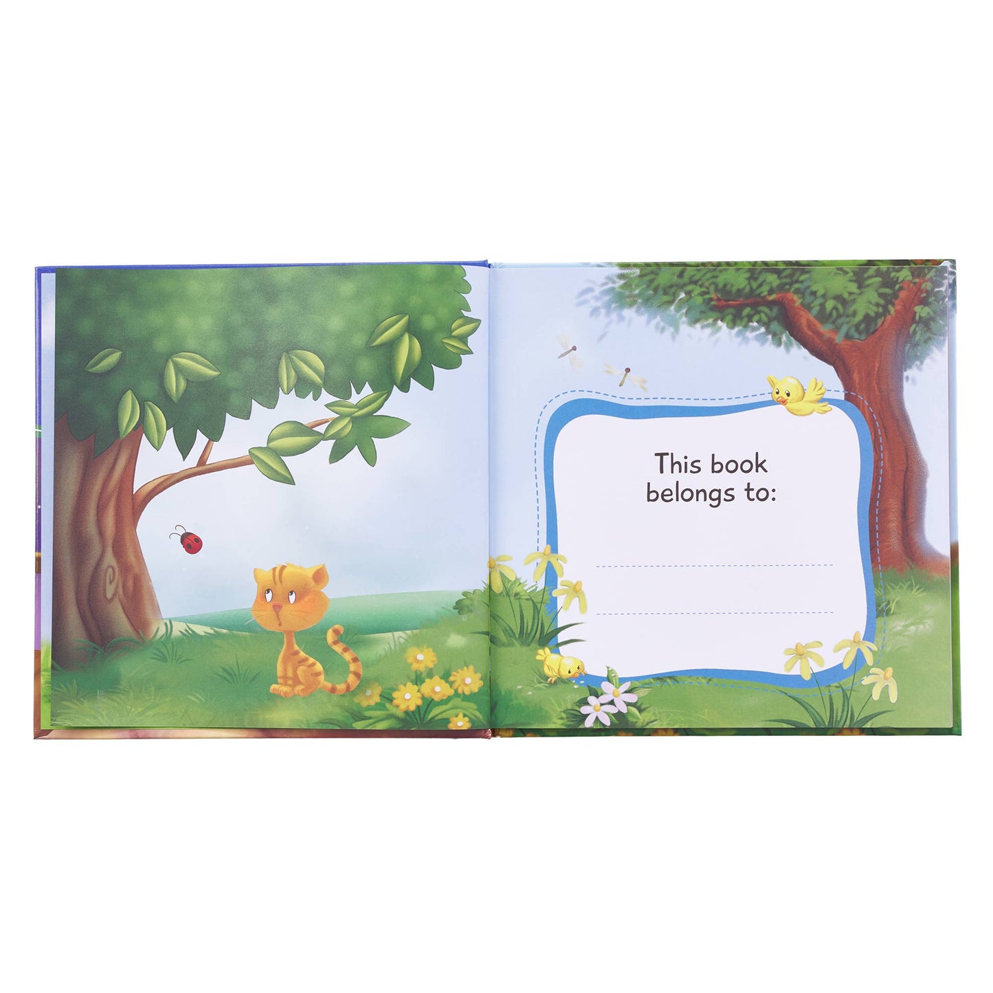 God Hears When You Pray Childrens Book