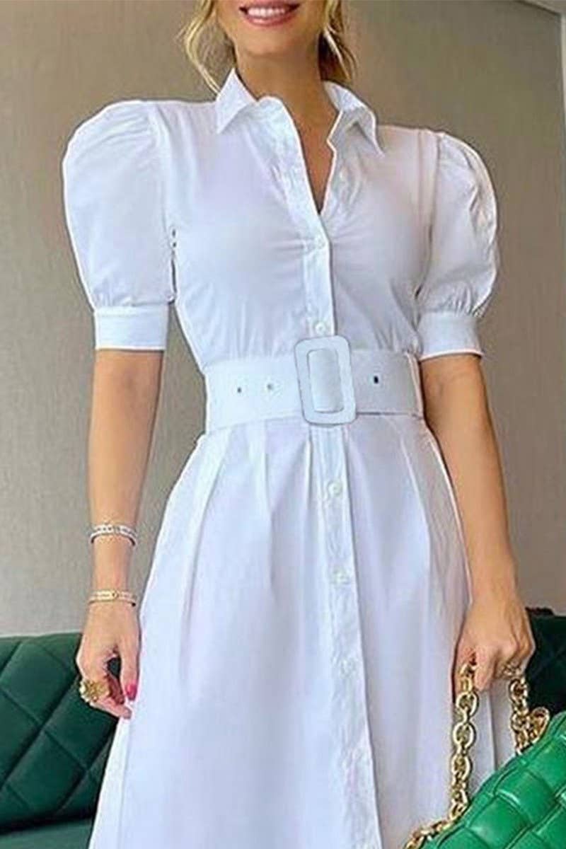 Sidney Swing Dress with Belt
