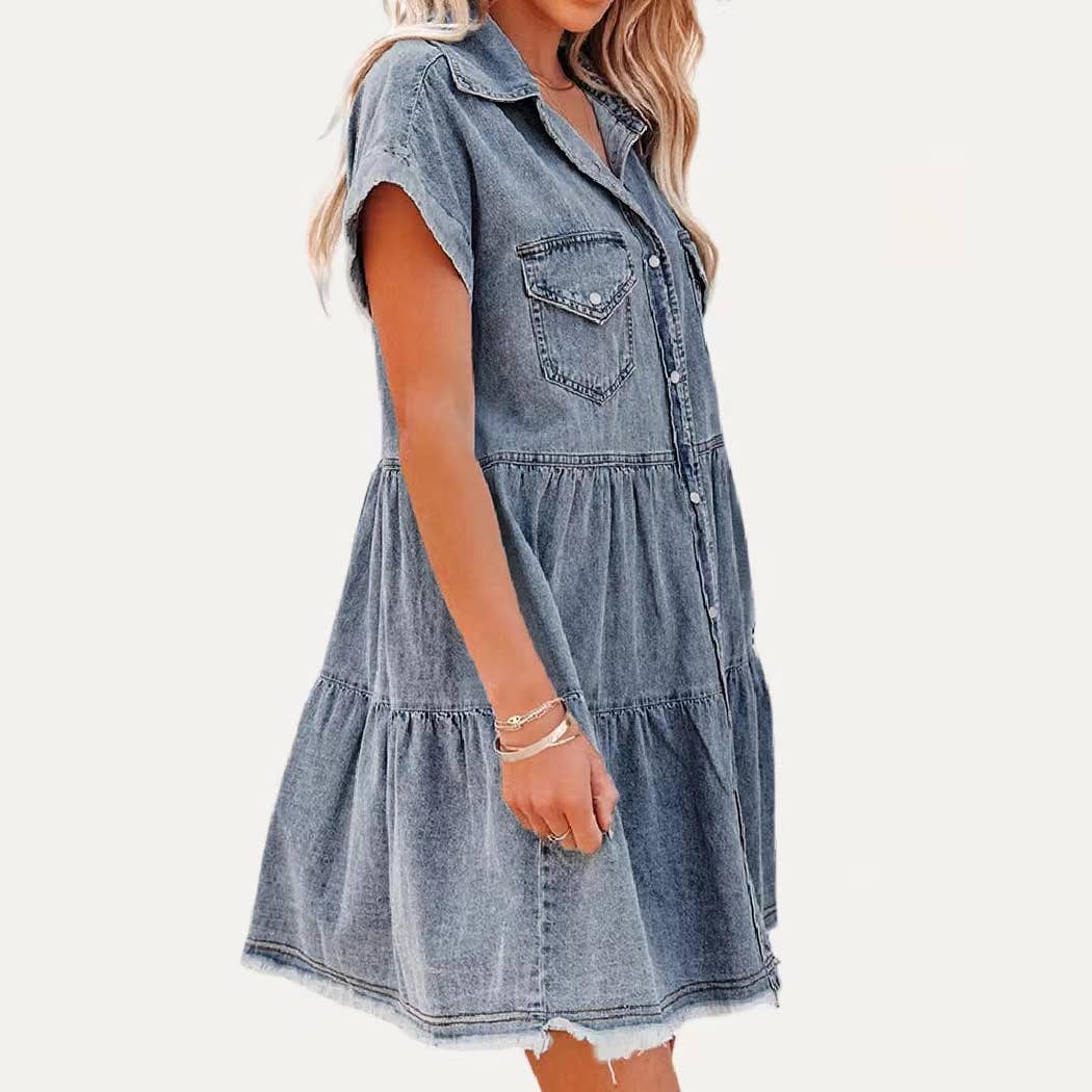 Demy Denim Dress