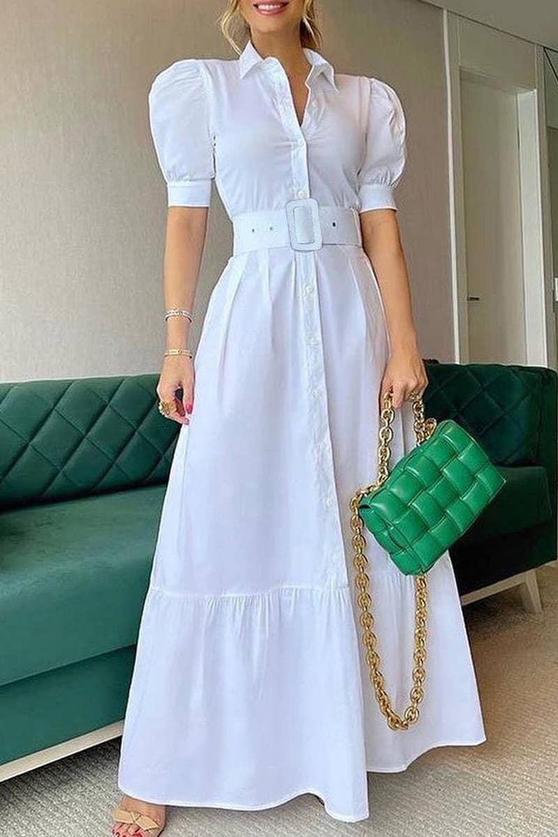 Sidney Swing Dress with Belt