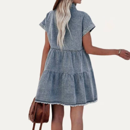 Demy Denim Dress